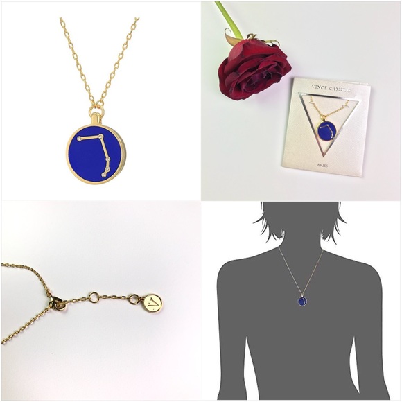 Vince Camuto Aries Pendant Necklace
